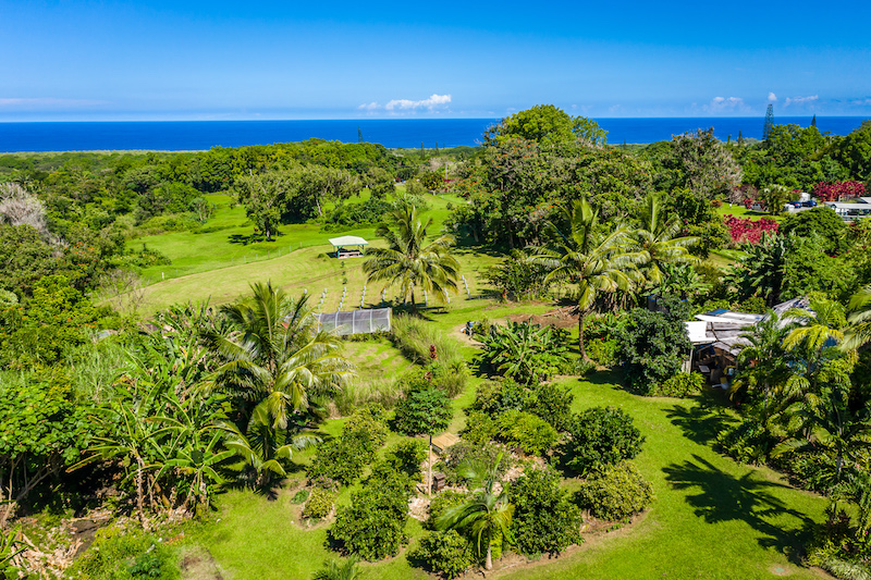 Aerial View of a property in Hana with extensive orchard.