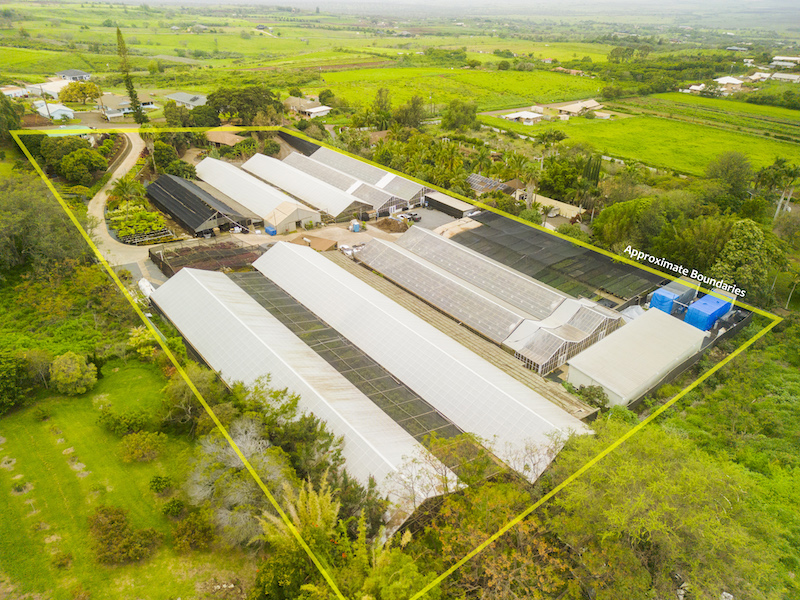 Aerial view of a Kula agricultural opportunity with extensive green house infrastructure. 