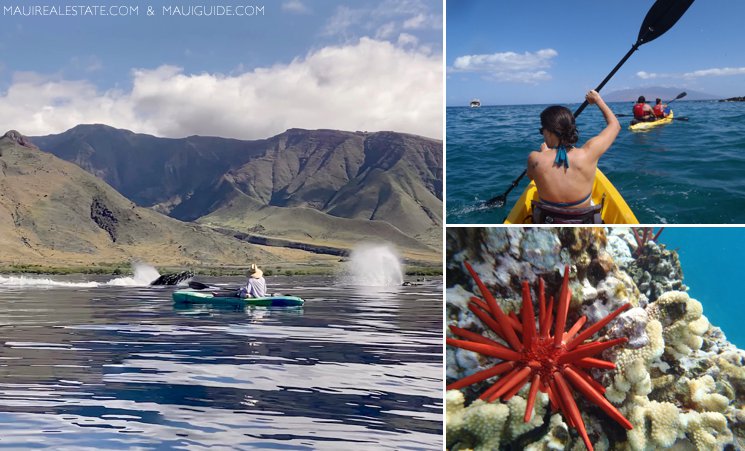 Maui kayaking tours