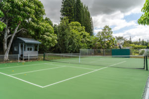 Pickleball court at North Shore Paradise a home for sale on Maui