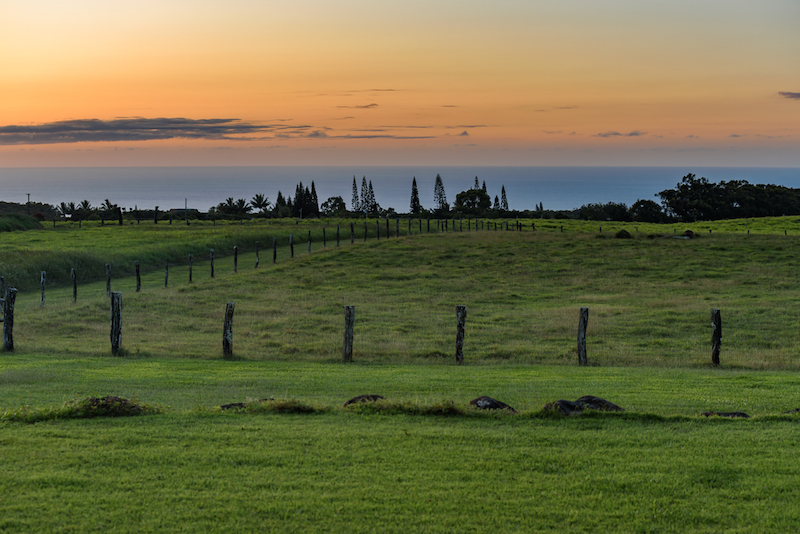 Sunset views looking over the pastures of 1949 West Kuiaha Road in Haiku